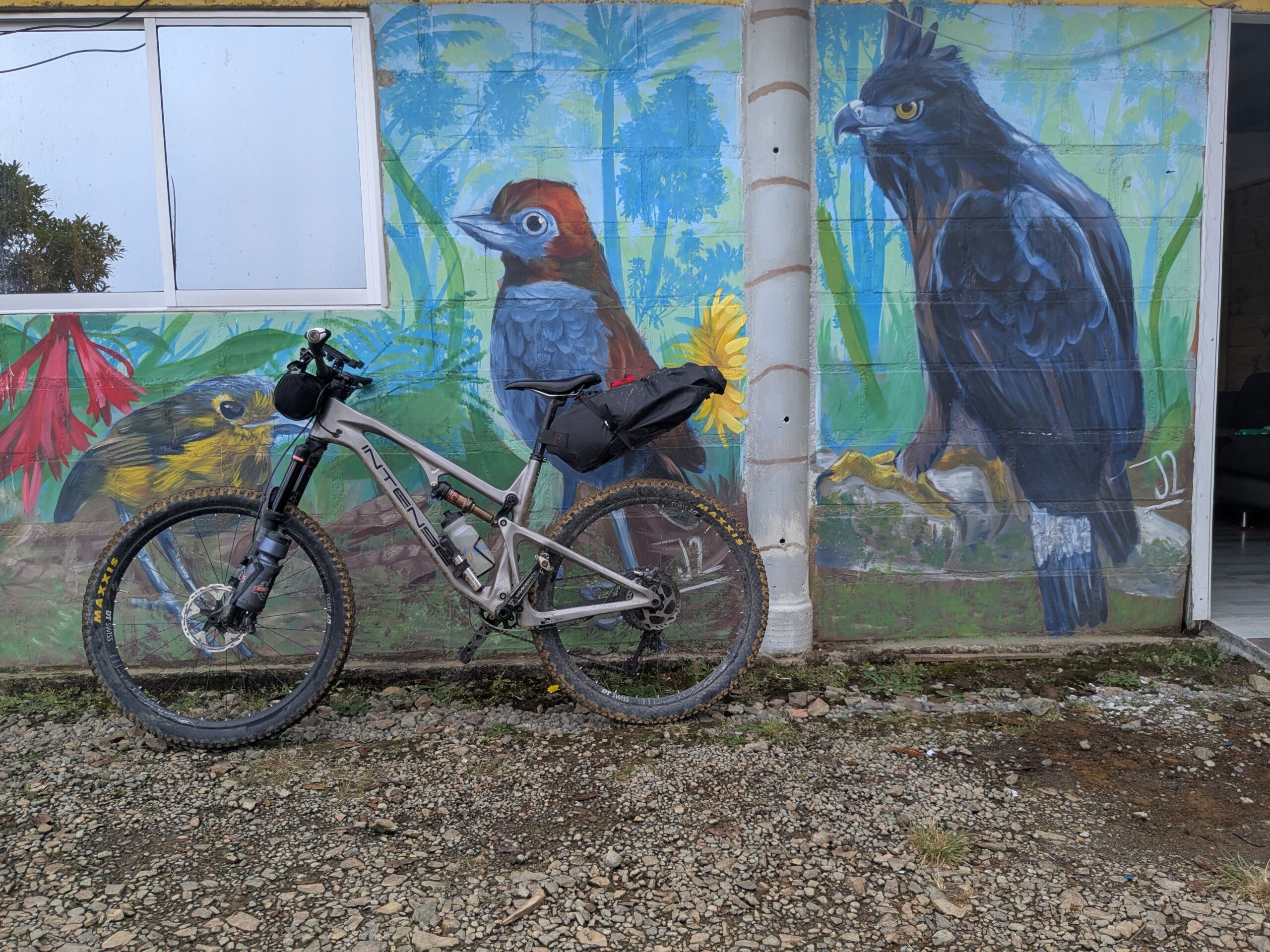 Bird Mural